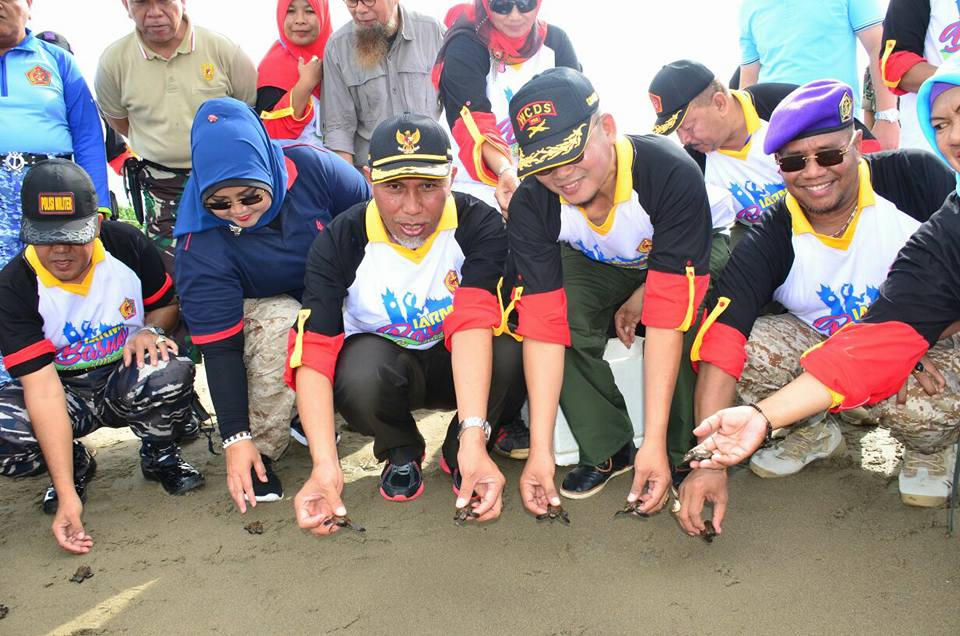 Pelepasan tukik dari kegiatan Baksos Ikatan Alumni Resimen Mahasiswa Indonesia (IARMI) di Pantai Padang