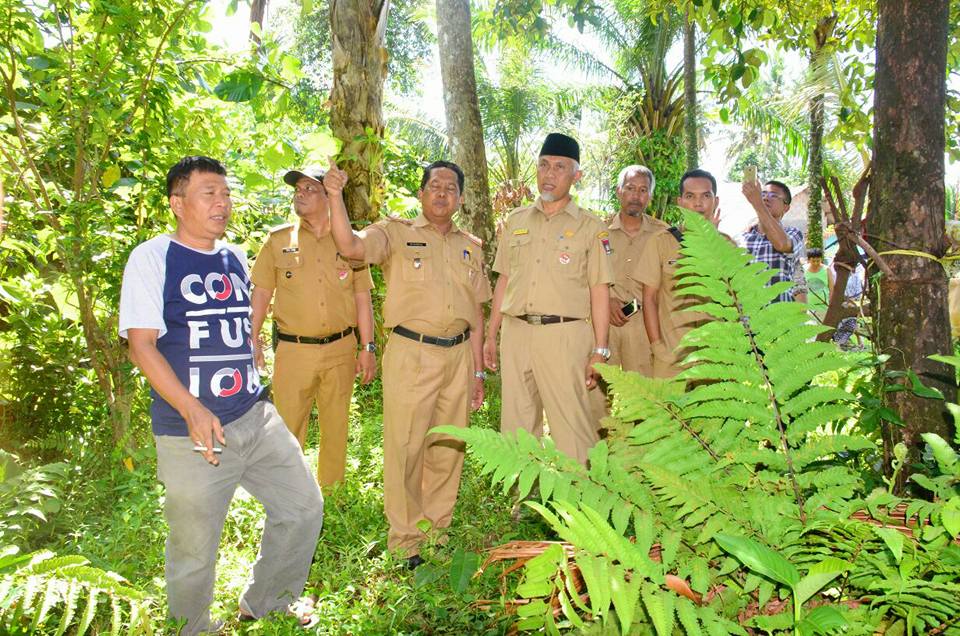 Walikota Padang Mahyeldi Ansarullah saat meninjau lahan pembangunan Bandar Air di Lubuk Buaya Walikota Padang Mahyeldi Ansarullah saat meninjau lahan pembangunan Bandar Air di Lubuk Buaya