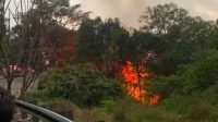 breaking-news:-mobil-terjun-ke-jurang-sitinjau-lauk,-langsung-terbakar