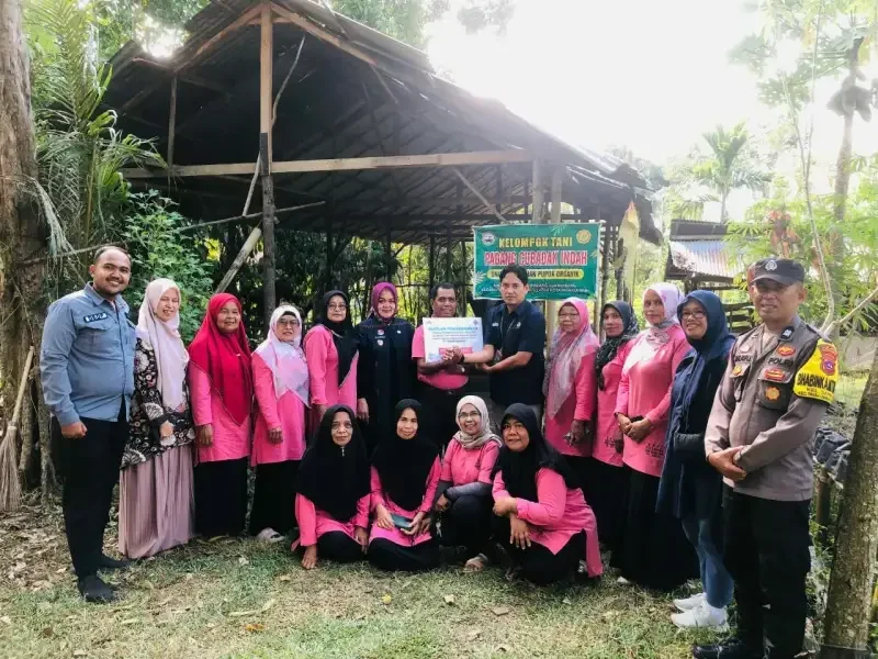 semen-padang-bantu-kelompok-tani-di-payakumbuh,-produksi-pupuk-organik-ditargetkan-naik-jadi-5-ton/bulan