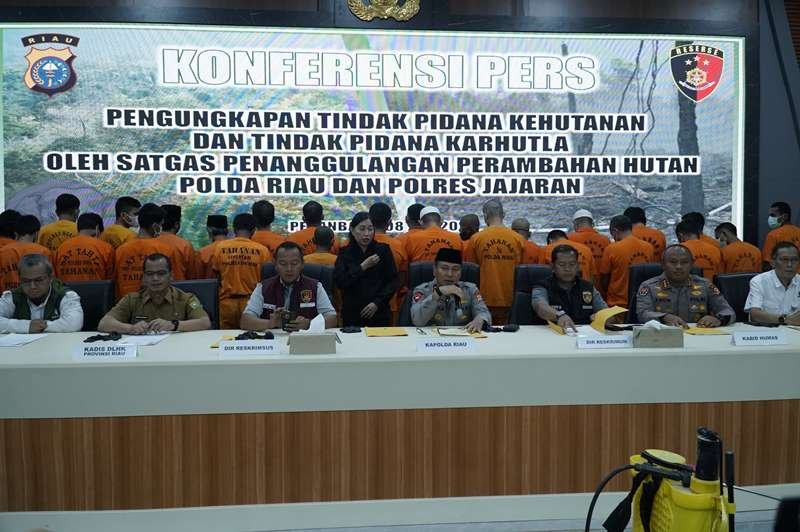24-tersangka-perambahan-hutan-diamankan,-salah-satunya-buka-kebun-sawit-ilegal-143-hektare
