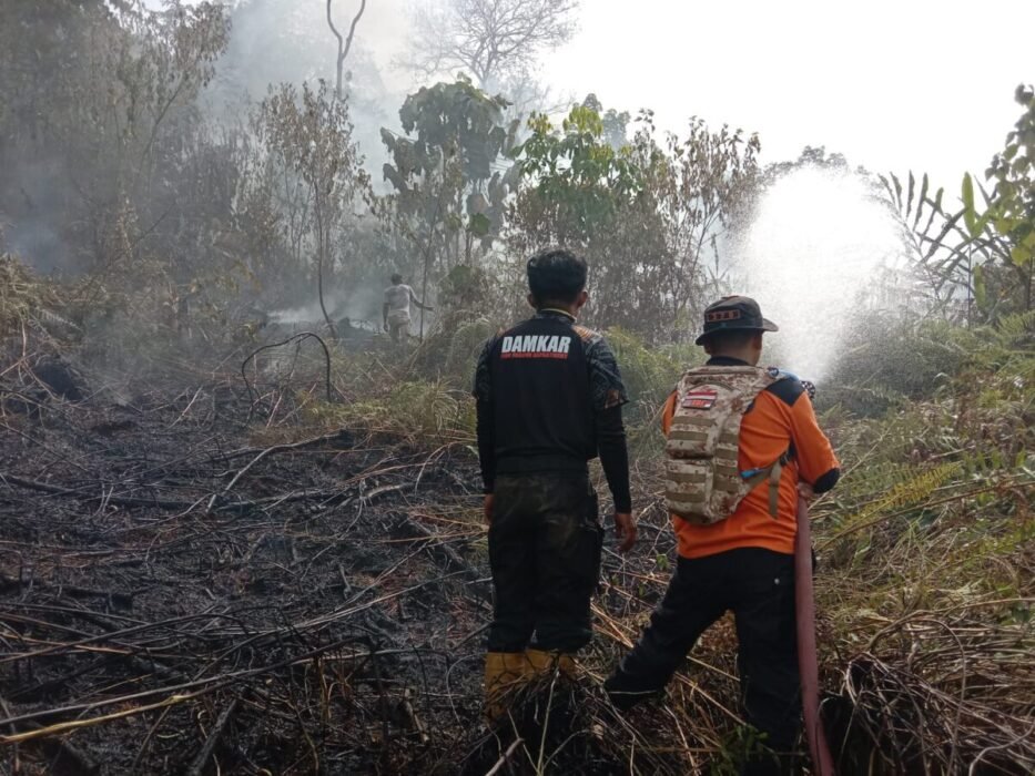 kebakaran-lahan-meluas-hingga-4-hektare-di-lima-puluh-kota,-petugas-hadapi-medan-curam-dan-angin-kencang kebakaran-lahan-meluas-hingga-4-hektare-di-lima-puluh-kota,-petugas-hadapi-medan-curam-dan-angin-kencang