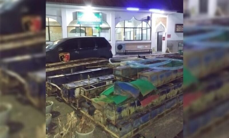 polisi-tangkap-14-penambang-emas-di-limapuluh-kota,-sita-material-tambang polisi-tangkap-14-penambang-emas-di-limapuluh-kota,-sita-material-tambang
