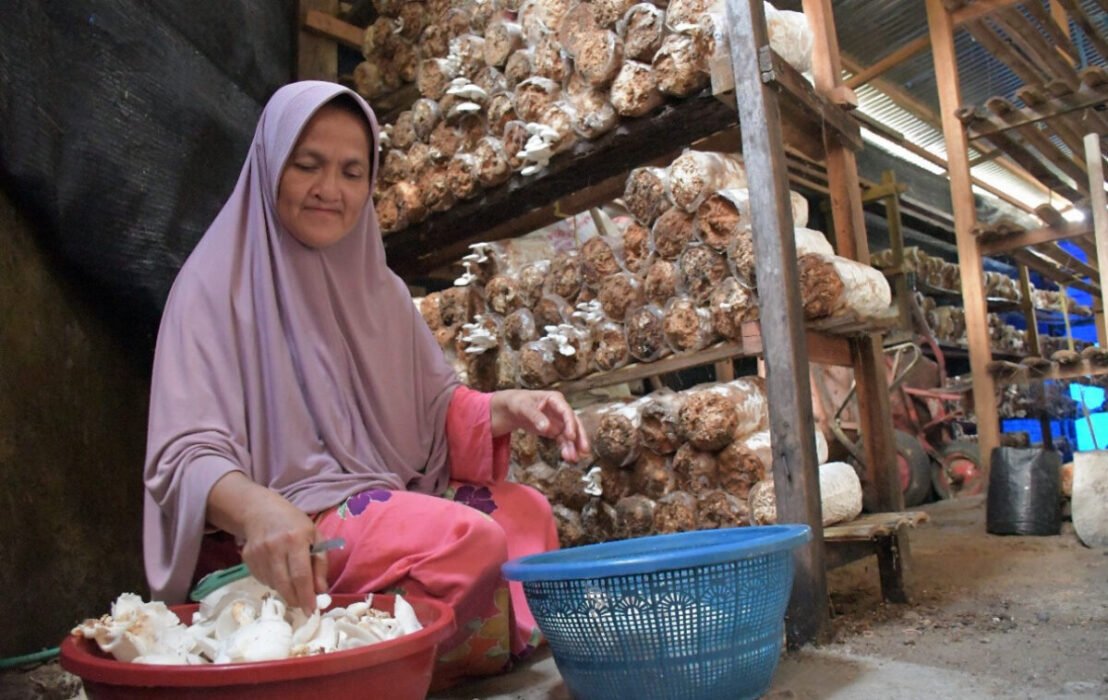 pt-semen-padang-bantu-sekolah-perempuan-kembangkan-budidaya-jamur-tiram-di-baringin