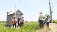 raih-43-penghargaan-di-nusantara-csr-awards-2025,-pln-terima-predikat-platinum-sdgs