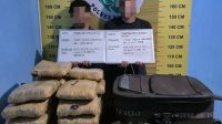 gagal-selundupkan-ganja,-dua-pria-dibekuk-polisi-di-pasaman gagal-selundupkan-ganja,-dua-pria-dibekuk-polisi-di-pasaman