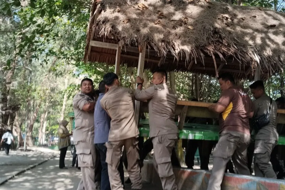 pemko-pariaman-tertibkan-gazebo-pedagang-demi-pemasangan-radar-pendeteksi-tsunami