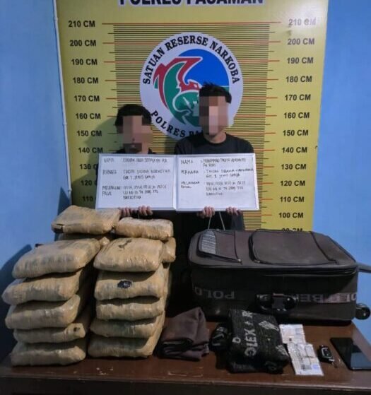dua-pria-ditangkap-di-pasaman,-bawa-puluhan-paket-besar-ganja-dalam-mobil-innova