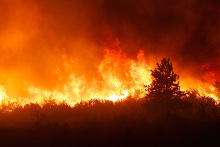 solok-dikepung-api,-300-hektare-lahan-dan-hutan-terbakar solok-dikepung-api,-300-hektare-lahan-dan-hutan-terbakar