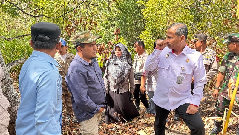 kemenko-polhukam-dorong-mitigasi-karhutla-di-kabupaten-solok:-antisipasi-jadi-kunci