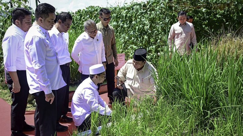 lumbung-pangan-jadi-fokus-infrastruktur-prabowo-2026,-anggaran-capai-rp-11,9-triliun
