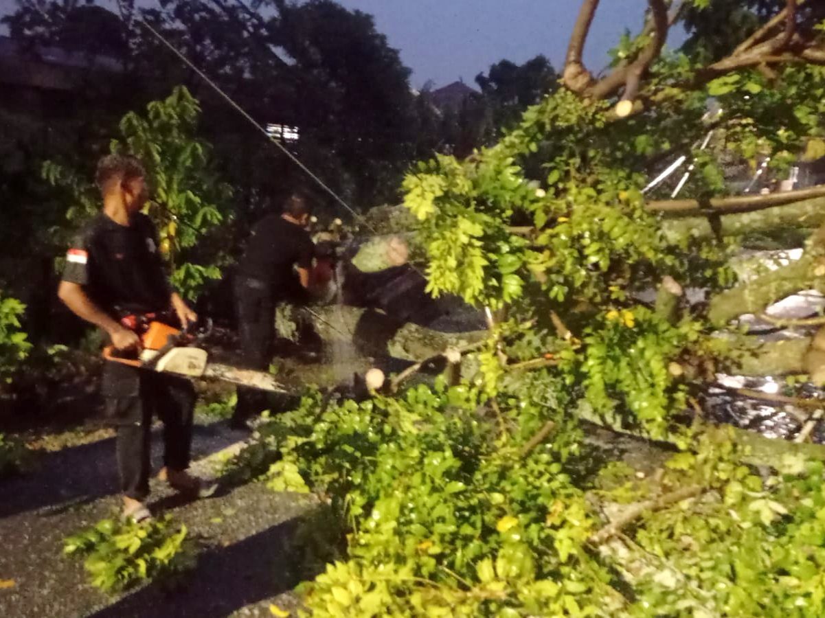 hujan-dan-angin-kencang-terjang-padang,-pohon-kedondong-tumbang-timpa-kabel-telkom-dan-rumah-warga hujan-dan-angin-kencang-terjang-padang,-pohon-kedondong-tumbang-timpa-kabel-telkom-dan-rumah-warga