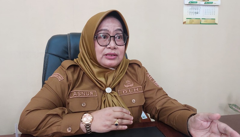 kadis-dlh-asnur:-wcd-bukan-rutinitas,-tapi-gerakan-moral-untuk-kabupaten-solok-bersih