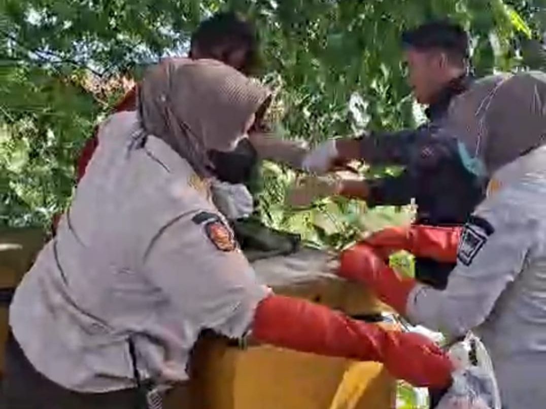 berkat-laporan-warga,-satpol-pp-amankan-orang-terlantar-di-padang-selatan