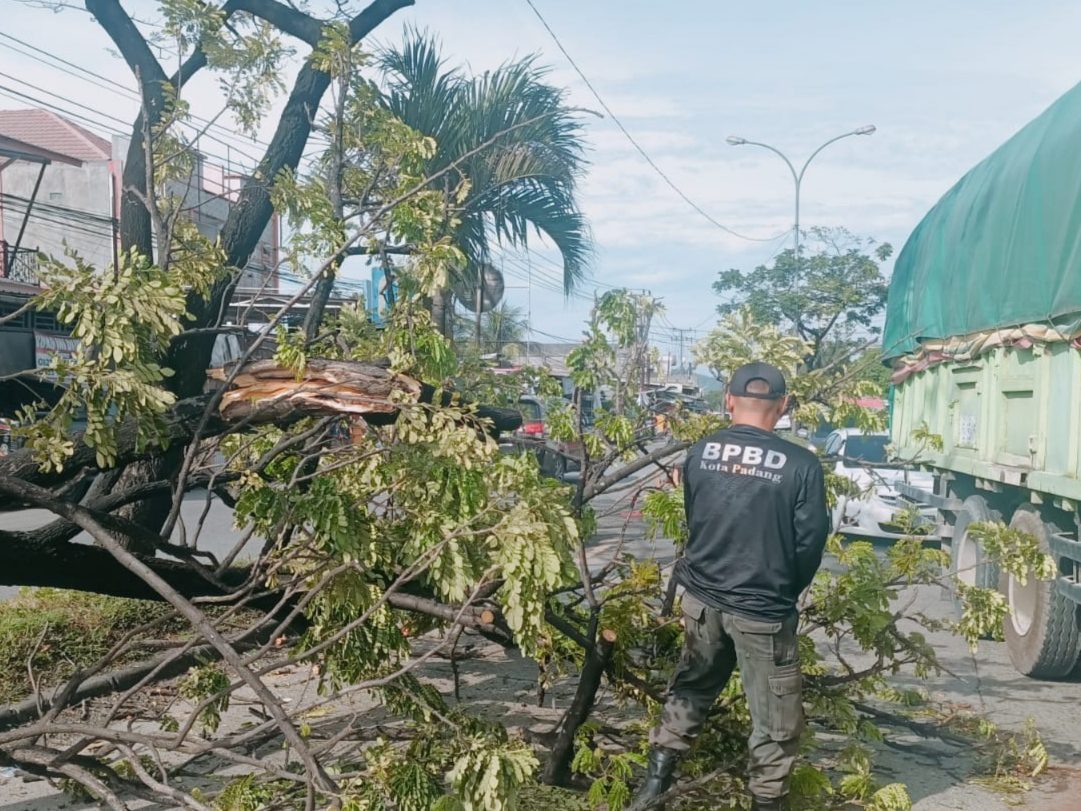 dihantam-truk!-pohon-tumbang-hambat-akses-jalan-padang-indarung