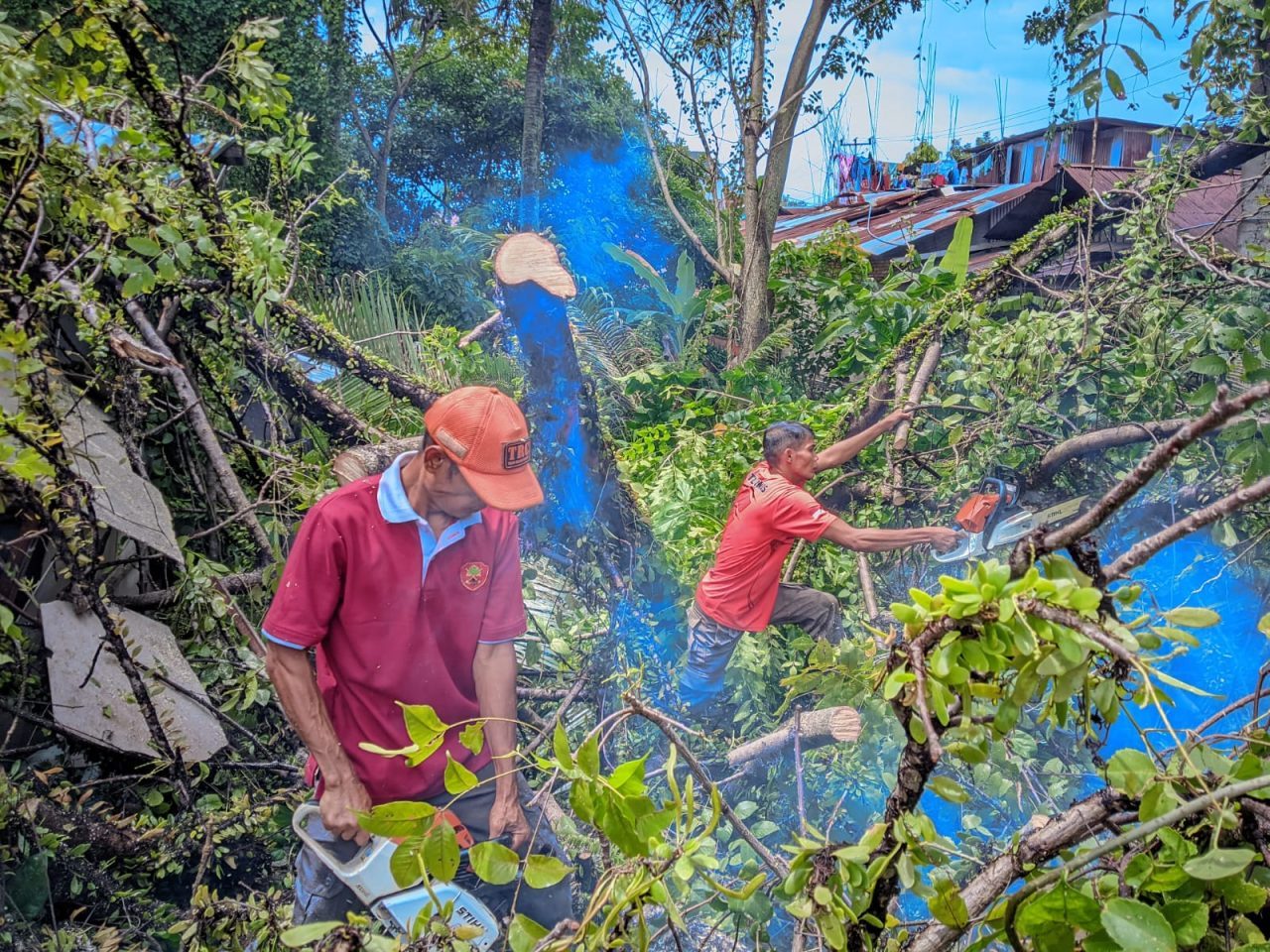 padang-diterjang-cuaca-ekstrem,-belasan-pohon-tumbang-dalam-tiga-hari