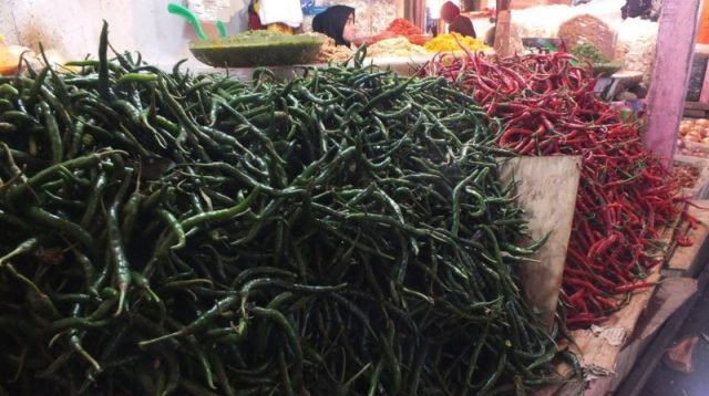 disdag-padang-pantau-fluktuasi-harga-cabai-di-pasar