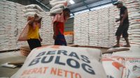 bulog-sumbar-pastikan-stok-beras-aman-hingga-akhir-2026
