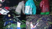 hujan-badai-landa-padang-malam-ini:-pohon-tumbang-timpa-warung-dan-mobil-di-dua-lokasi
