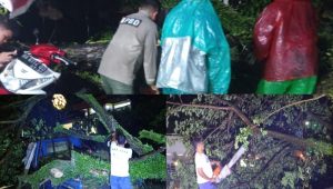 hujan-badai-landa-padang-malam-ini:-pohon-tumbang-timpa-warung-dan-mobil-di-dua-lokasi