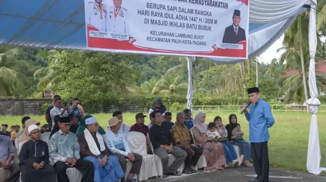 warga-pauh-terima-sapi-kurban-bantuan-presiden-prabowo-subianto-seberat-964-kg