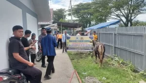 warga-huntara-lubuk-buaya-terima-bantuan-tiga-ekor-sapi-kurban