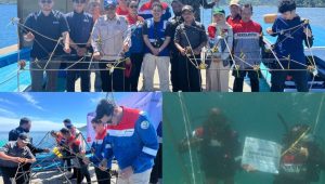 peringati-hari-lingkungan-hidup,-pertamina-sukses-lakukan-transplantasi-terumbu-karang-di-pulau-pasumpahan