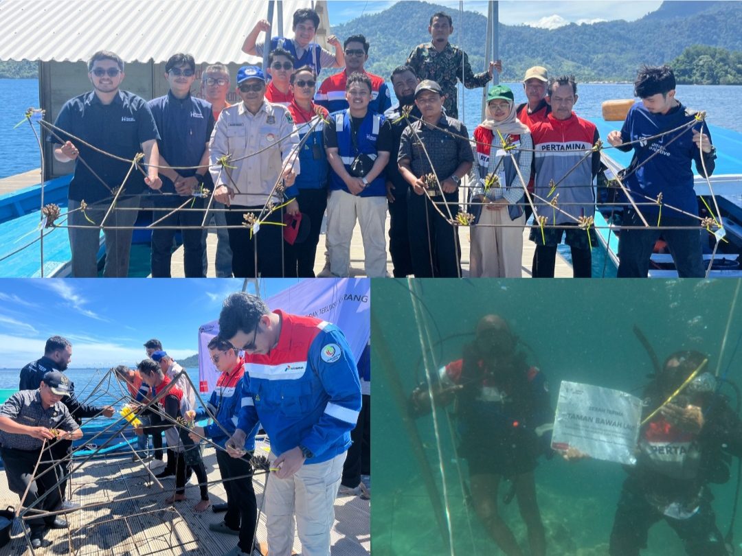 peringati-hari-lingkungan-hidup,-pertamina-sukses-lakukan-transplantasi-terumbu-karang-di-pulau-pasumpahan peringati-hari-lingkungan-hidup,-pertamina-sukses-lakukan-transplantasi-terumbu-karang-di-pulau-pasumpahan