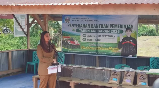 pemkab-dharmasraya-salurkan-traktor-dan-benih-padi-perkuat-produktivitas-pertanian