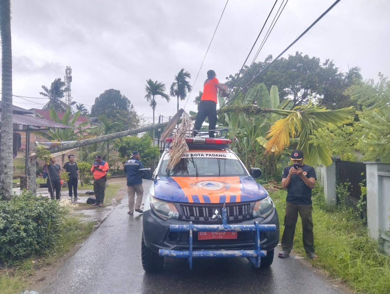 hujan-dan-angin-kencang-di-padang,-pohon-pinang-15-meter-tumbang-timpa-kabel-telepon-di-nanggalo hujan-dan-angin-kencang-di-padang,-pohon-pinang-15-meter-tumbang-timpa-kabel-telepon-di-nanggalo