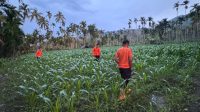 diduga-hanyut-di-sungai,-bocah-3,5-tahun-di-koto-tapan-pasaman-dicari-tim-sar-gabungan diduga-hanyut-di-sungai,-bocah-3,5-tahun-di-koto-tapan-pasaman-dicari-tim-sar-gabungan