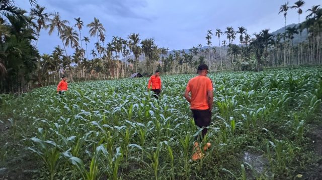 diduga-hanyut-di-sungai,-bocah-3,5-tahun-di-koto-tapan-pasaman-dicari-tim-sar-gabungan