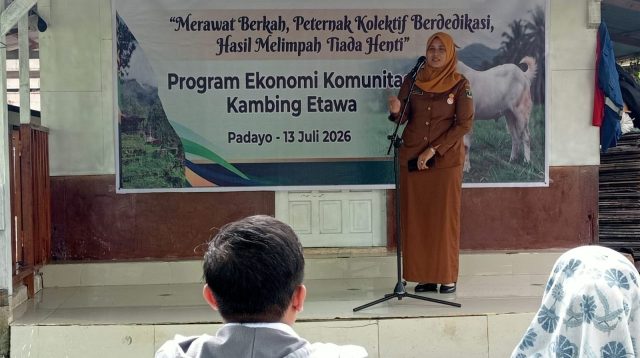 dorong-mustahik-menjadi-muzaki,-upz-baznas-semen-padang-tuntaskan-program-kambing-etawa