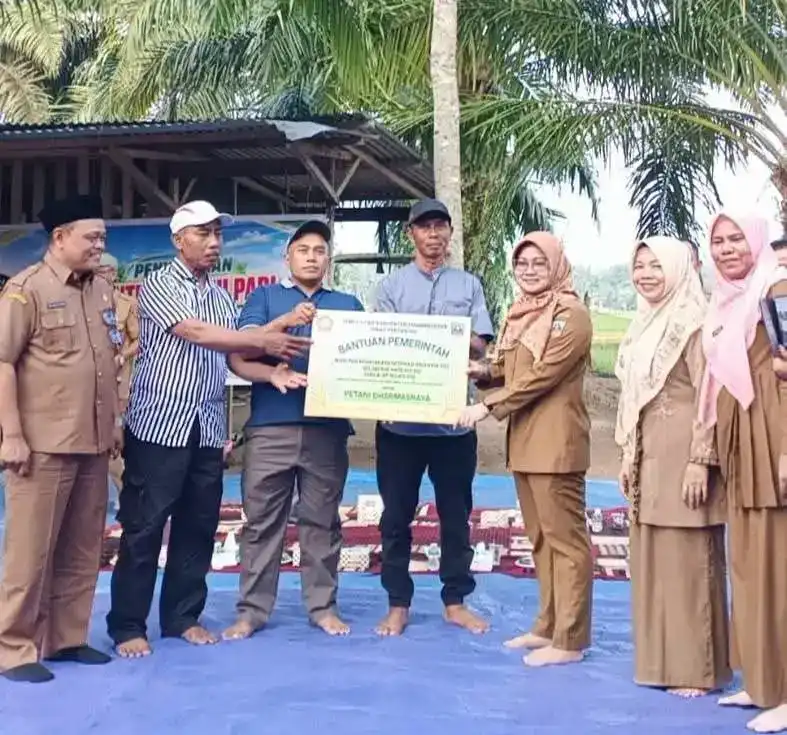 pemkab-dharmasraya-salurkan-12,5-ton-benih-padi-biofortifikasi-untuk-petani pemkab-dharmasraya-salurkan-12,5-ton-benih-padi-biofortifikasi-untuk-petani
