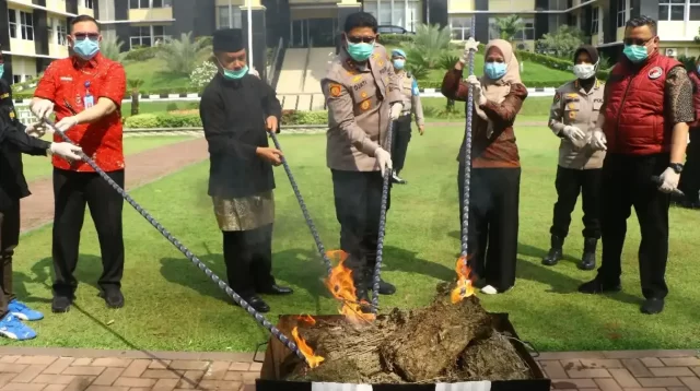 polda-sumbar-ungkap-61-kasus-narkoba-dan-sita-puluhan-kilogram-barang-bukti