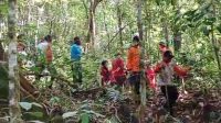 bpbd-kota-padang-lakukan-pencarian-warga-hilang-di-kawasan-hutan-biologis-unand bpbd-kota-padang-lakukan-pencarian-warga-hilang-di-kawasan-hutan-biologis-unand