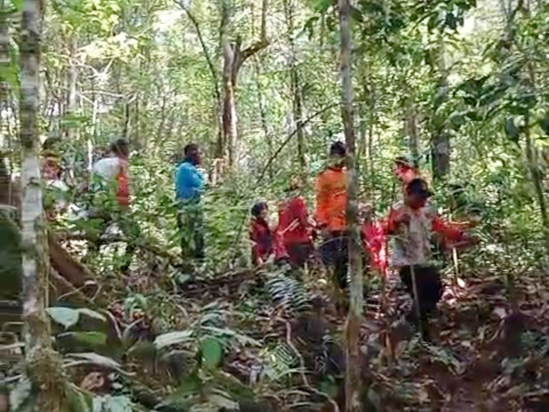 bpbd-kota-padang-lakukan-pencarian-warga-hilang-di-kawasan-hutan-biologis-unand