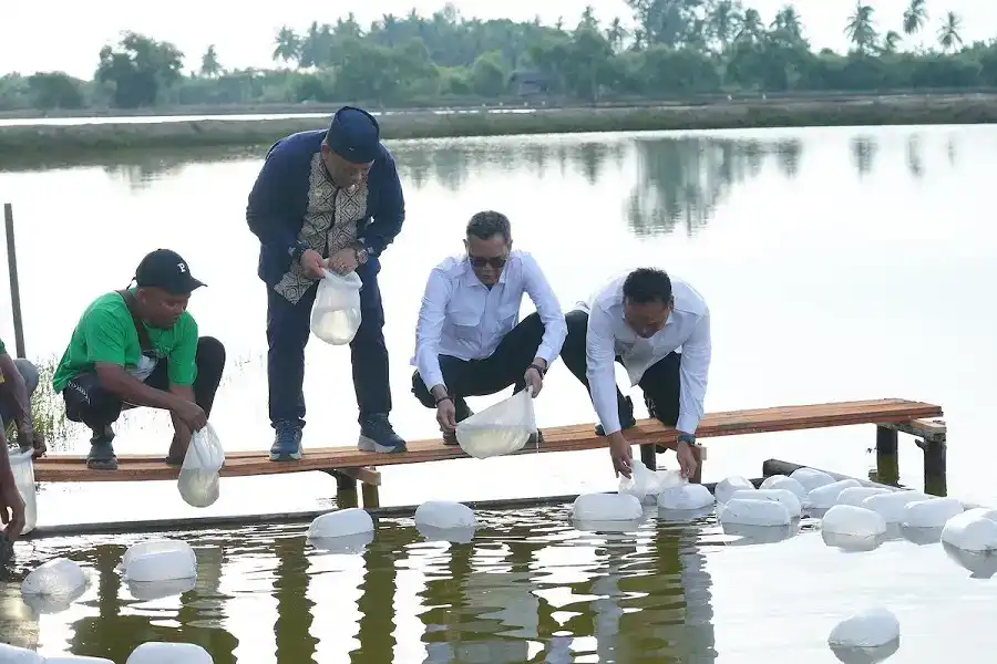 satgas-prr-percepat-pemulihan-ekonomi-aceh-lewat-sektor-tambak-kopi satgas-prr-percepat-pemulihan-ekonomi-aceh-lewat-sektor-tambak-kopi