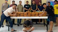polres-padang-pariaman-gagalkan-peredaran-narkoba-ukuran-besar,-61-paket-ganja-diamankan