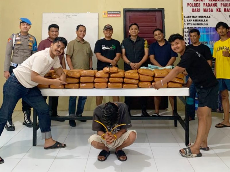 polres-padang-pariaman-gagalkan-peredaran-narkoba-ukuran-besar,-61-paket-ganja-diamankan polres-padang-pariaman-gagalkan-peredaran-narkoba-ukuran-besar,-61-paket-ganja-diamankan