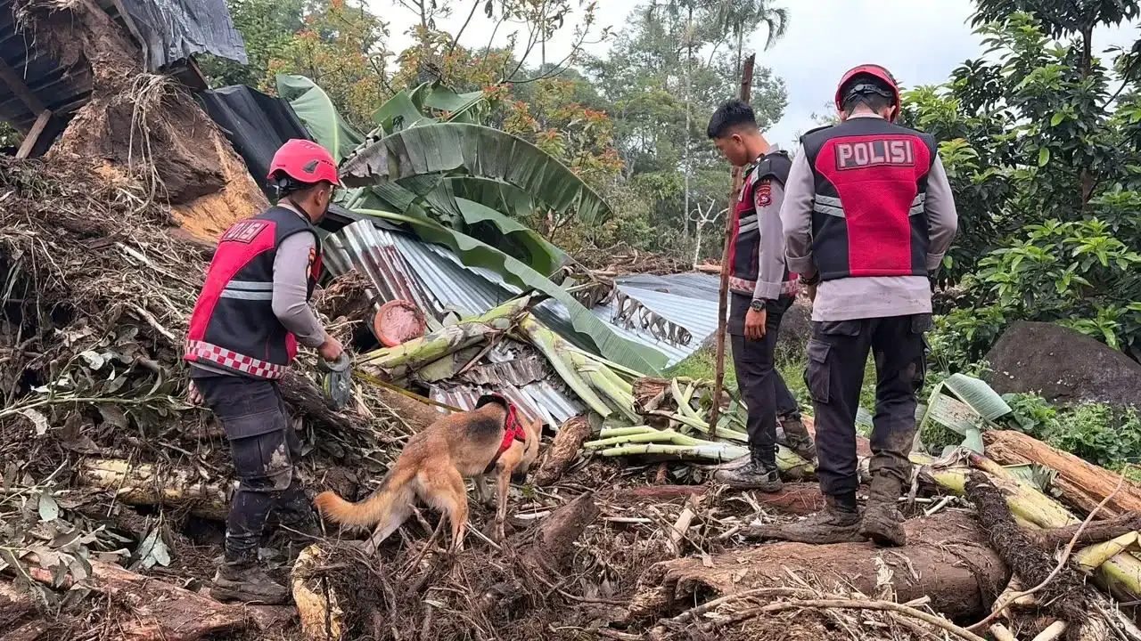 unit-k9-polda-sumbar-temukan-barang-pribadi-korban-galodo-solok unit-k9-polda-sumbar-temukan-barang-pribadi-korban-galodo-solok