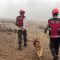 bantu-percepat-pencarian-korban-galodo-di-solok,-k9-sar-polda-sumbar-sisir-jalur-air-bah