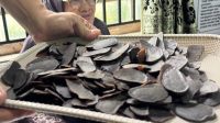 didukung-pt-semen-padang,-emak-emak-koto-baru-sulap-kopi-bantjah-jadi-aneka-olahan-bernilai-tinggi didukung-pt-semen-padang,-emak-emak-koto-baru-sulap-kopi-bantjah-jadi-aneka-olahan-bernilai-tinggi