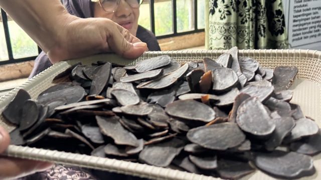 didukung-pt-semen-padang,-emak-emak-koto-baru-sulap-kopi-bantjah-jadi-aneka-olahan-bernilai-tinggi