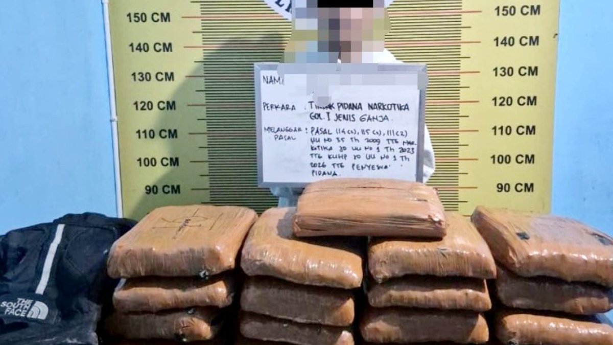 polres-pasaman-gagalkan-peredaran-21-paket-besar-ganja,-seorang-kurir-berhasil-diamankan Barang bukti 21 paket besar ganja yang diamankan Polres Pasaman beserta tas ransel dan motor tersangka.