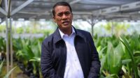 mentan-amran:-produksi-beras-dan-jagung-meningkat Menteri Pertanian Amran Sulaiman meninjau lahan pertanian untuk mendukung peningkatan produksi beras dan jagung nasional.
