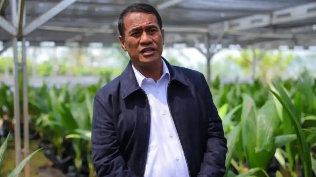 Menteri Pertanian Amran Sulaiman meninjau lahan pertanian untuk mendukung peningkatan produksi beras dan jagung nasional.
