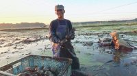 Penyerahan simbolis dana program pemberdayaan masyarakat oleh PT Semen Padang kepada perwakilan warga dan Forum Nagari.
