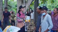 Penyerahan bantuan benih jagung dan traktor dari Kementerian Pertanian kepada kelompok tani di Dharmasraya.
