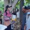 Penyerahan bantuan benih jagung dan traktor dari Kementerian Pertanian kepada kelompok tani di Dharmasraya.